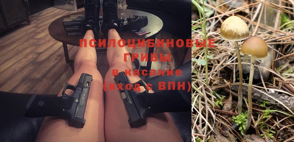 мдпв Абинск